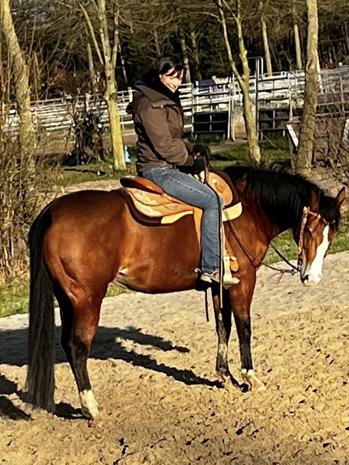 12 von 12 im Februar Pferd mit Reiterin auf einem Sandplatz