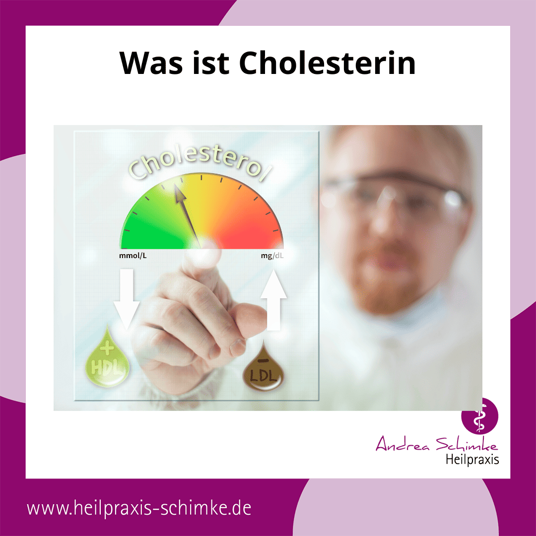 Was ist Cholesterin