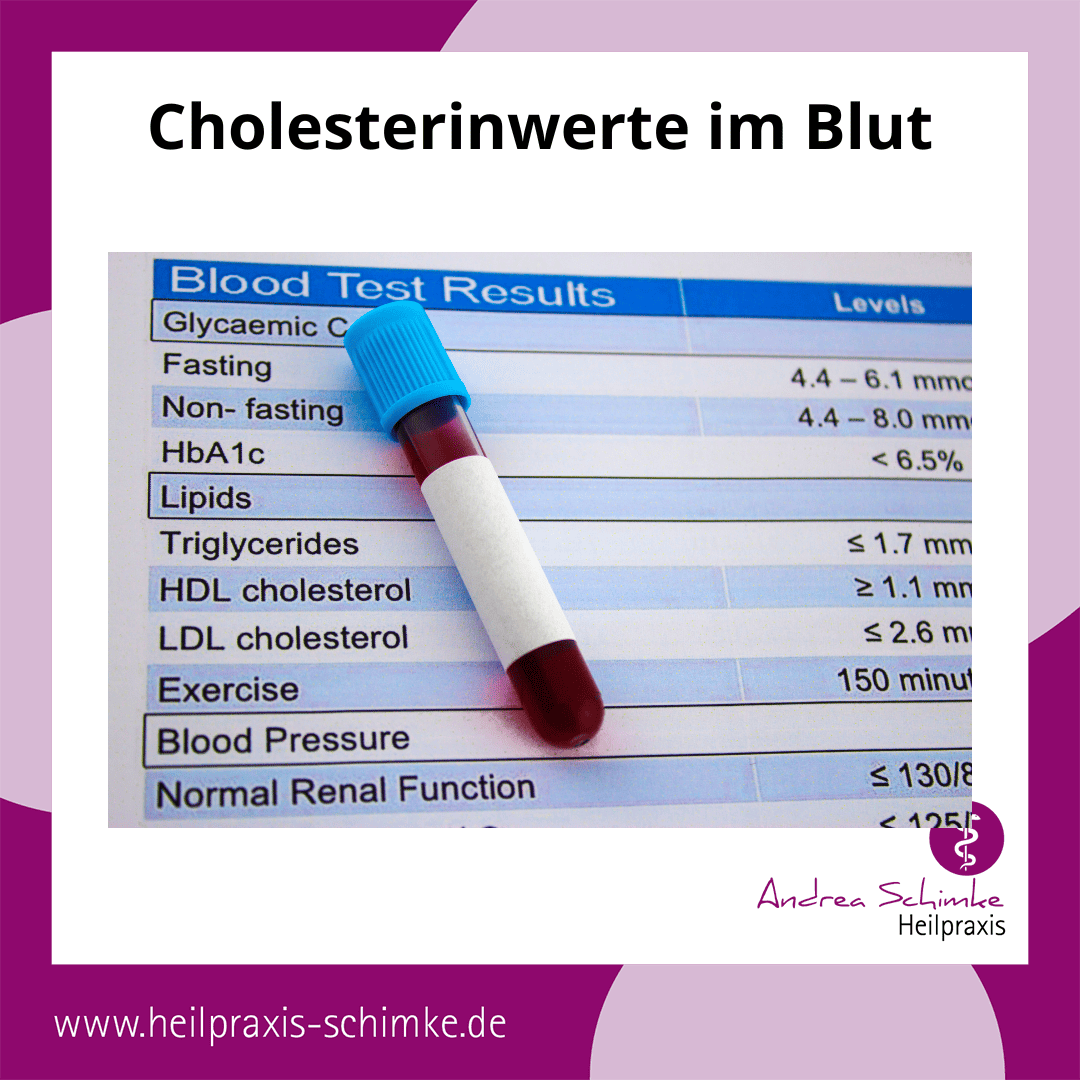 Cholesterinwerte im Blut