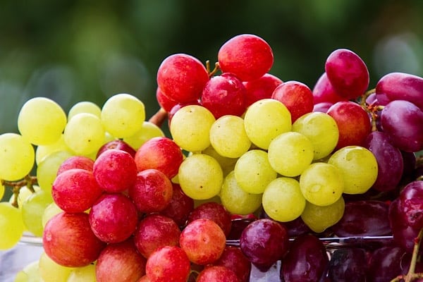 Macht Obst dick; rote und weiße Trauben