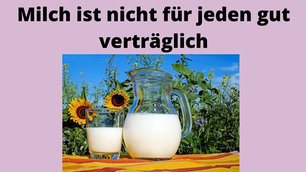 laktoseintoleranz, Bild mit 2 Krügen voller Milch und Sonnenblumen